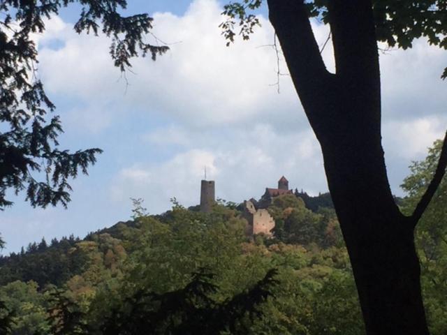 Ferienwohnung Burgenblilck Weinheim Zewnętrze zdjęcie