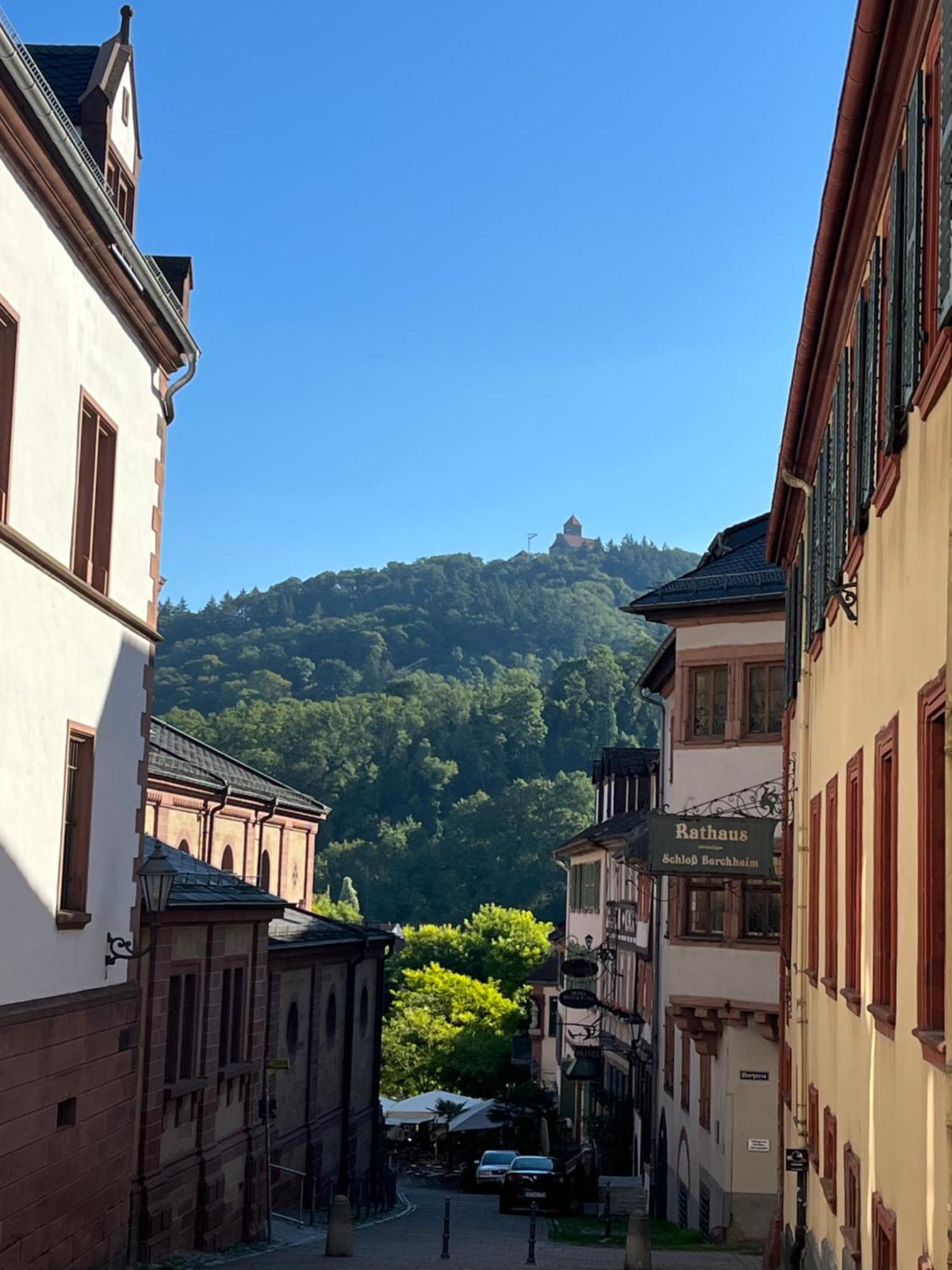 Ferienwohnung Burgenblilck Weinheim Zewnętrze zdjęcie
