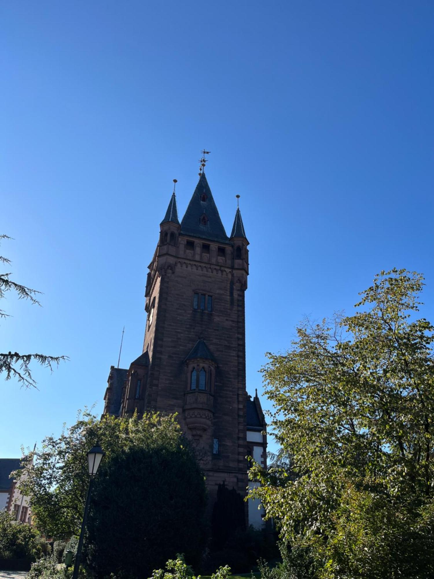 Ferienwohnung Burgenblilck Weinheim Zewnętrze zdjęcie