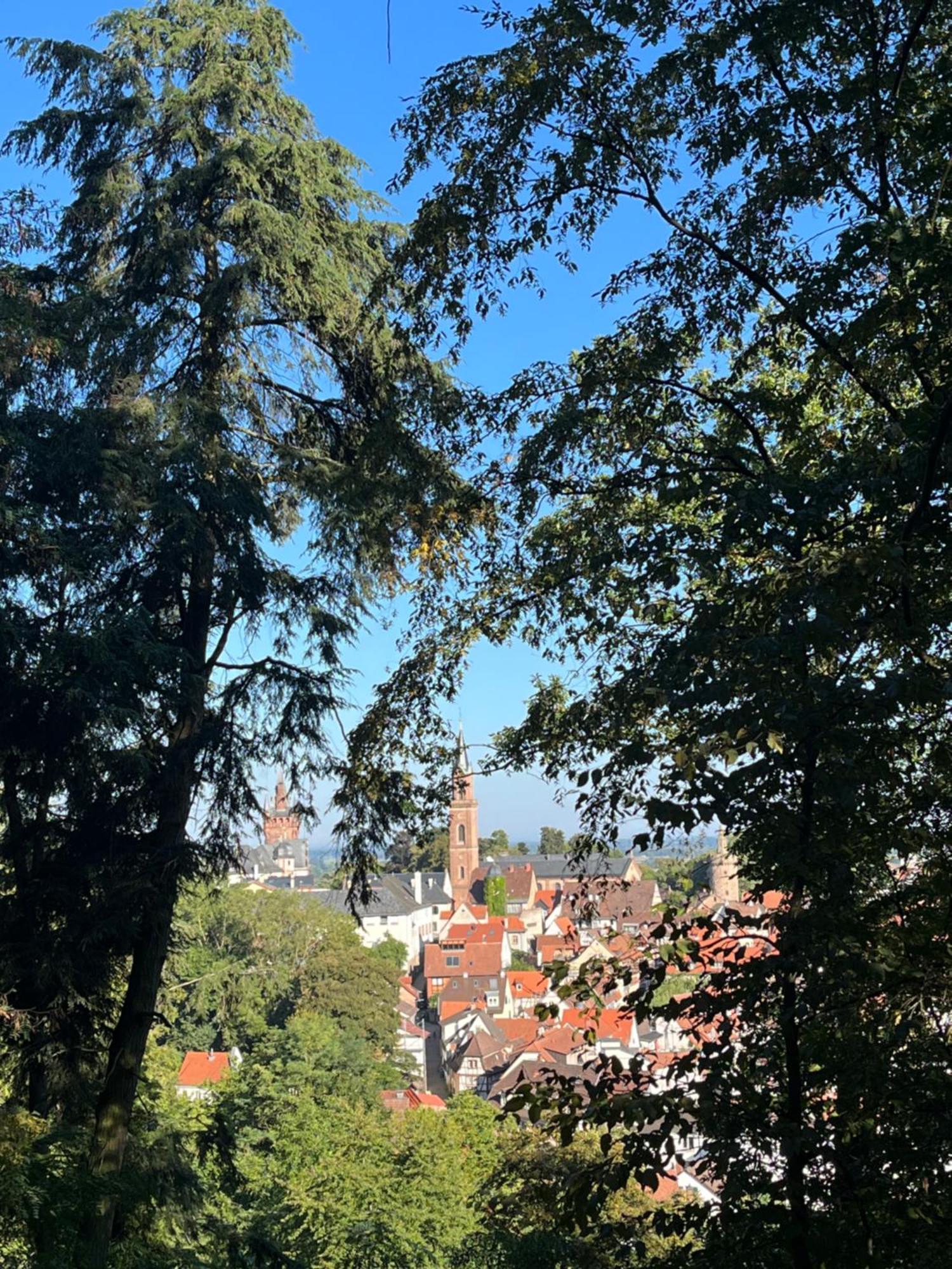 Ferienwohnung Burgenblilck Weinheim Zewnętrze zdjęcie